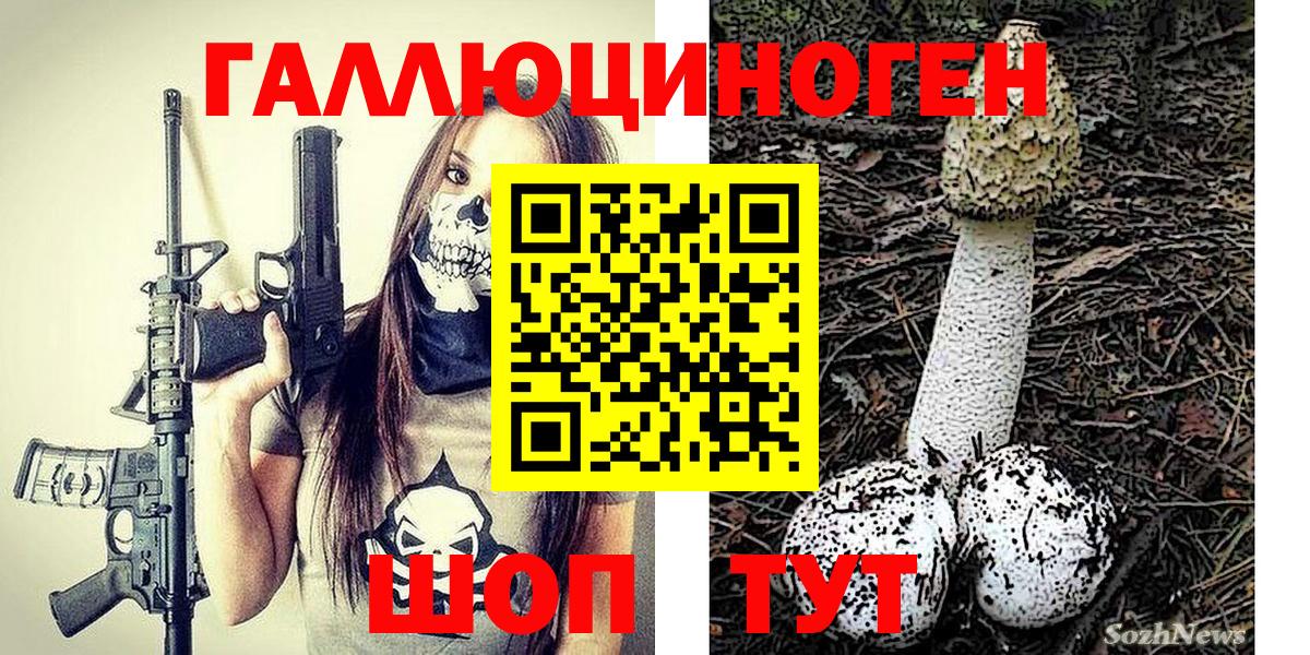 Унеча  Галлюциногенные грибы Psilocybine cubensis  Вход с VPN 
